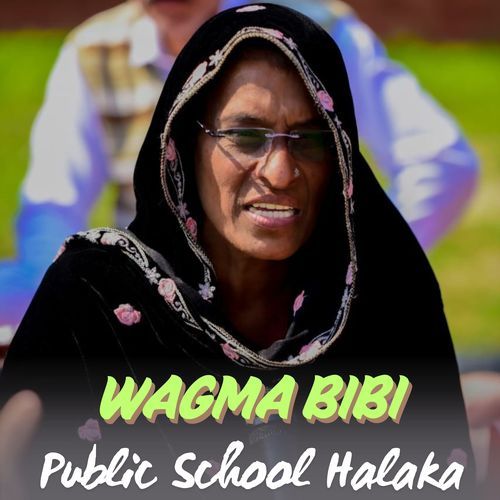 Public School Halaka