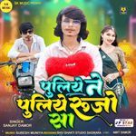 Puliye Ne Puliye Rujo Sa