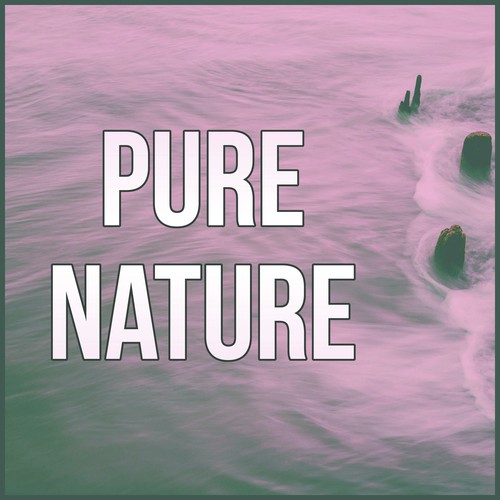 Pure Nature – Summer Rain, Calm Relaxing Nature Sounds, Water Sound Perfect for Sleep, Massage, Tai Chi, Meditation, Reduce Stress, Serenity Music