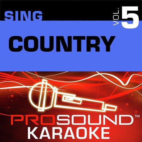Sing Country v.5 (Karaoke Performance Tracks)