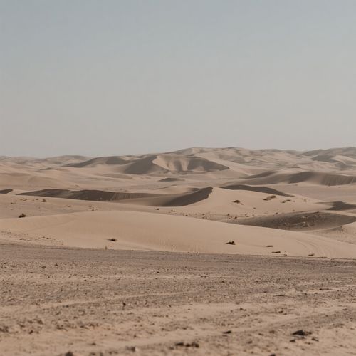 The Dry Season cover art
