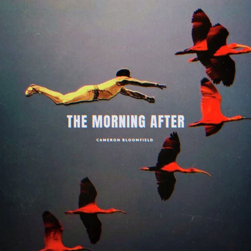 The Morning After_poster_image