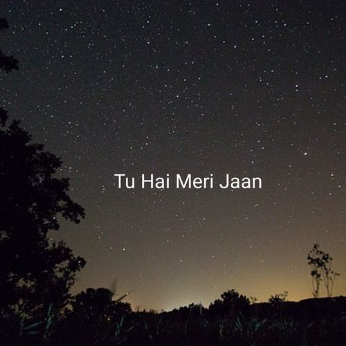 Tu Hai Meri Jaan