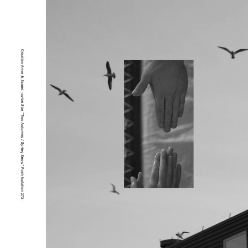 Reilly cover art