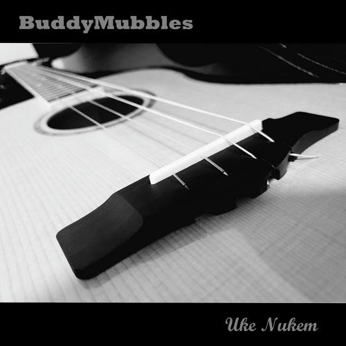 MadLib cover art