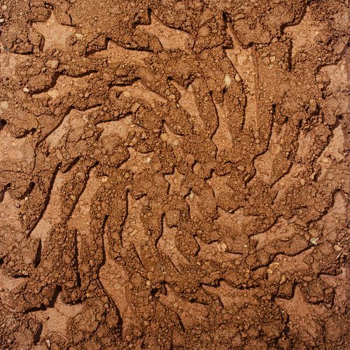 Unerthed: Hole Erth Unplugged