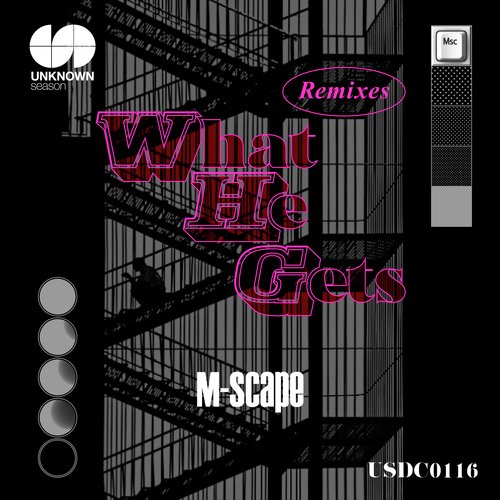 What He Gets (AFAMoo Remix) cover art