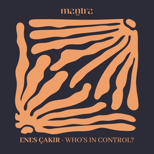 Who's In Control? (Radio Edit) cover art