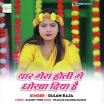 Yar Mera Holi Me Dhokha Diya Hai