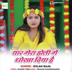 Yar Mera Holi Me Dhokha Diya Hai