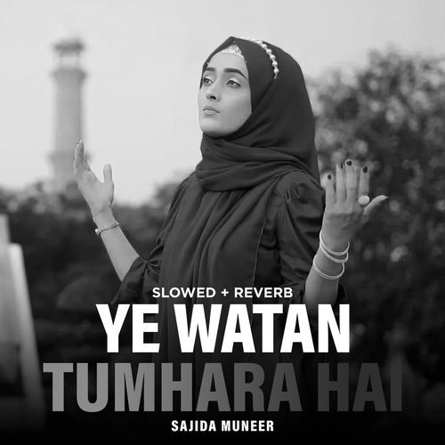 Ye Watan Tumhara Hai (Lofi-Mix)