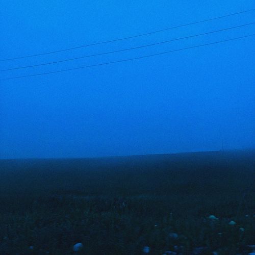 i will never forget you