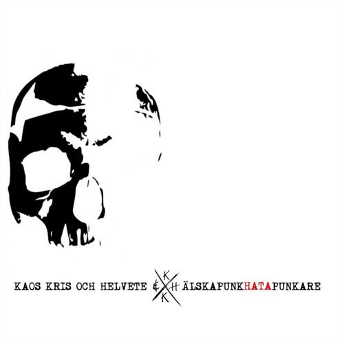 Faktaresistens cover art