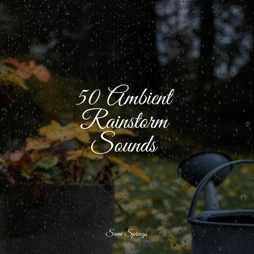 50 Ambient Rainstorm Sounds_poster_image