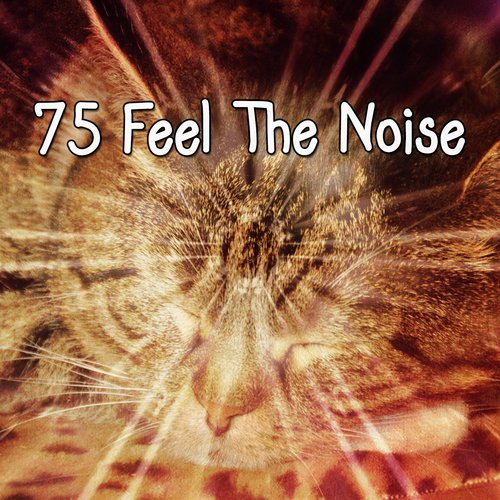 75 Feel The Noise