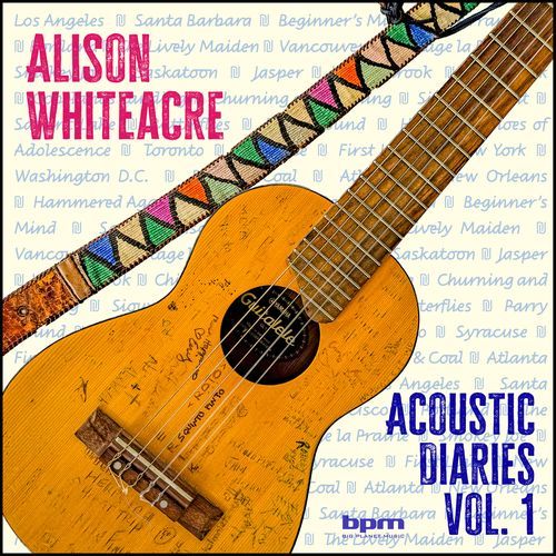Wiley Farook cover art