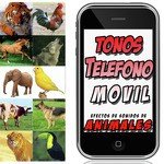 Animals. 20 Sound Effects. Ringtones for Your Cellphone
