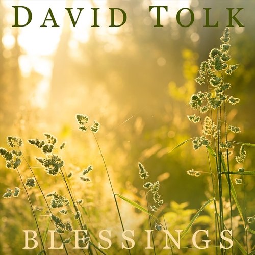 Blessings (feat. Steven Sharp Nelson) cover art