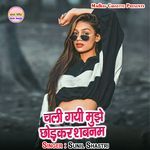 Chali Gayi Mujhe Chhodkar Shabnam