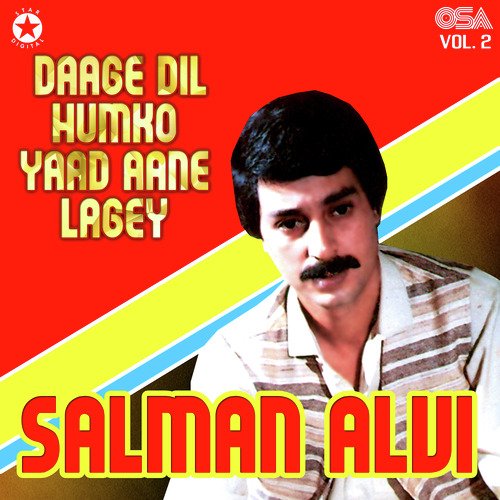 Daage Dil Humko Yaad Aane Lagey, Vol. 2_poster_image