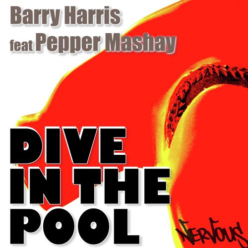 Dive In The Pool 2008 (feat. Pepper Mashay)_poster_image