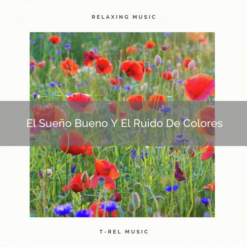 El Sueño Bueno Y El Ruido De Colores cover art