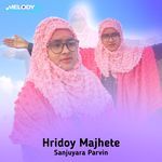 Hridoy Majhete