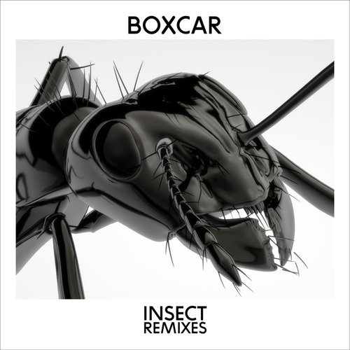 Insect (Remixes)_poster_image