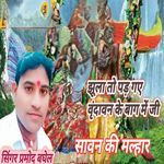 Jhula to pad gaye Vrindavan ke bag mein