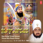 Kaun Karega Teriyan Rissa Putran Nu Waran Waleya