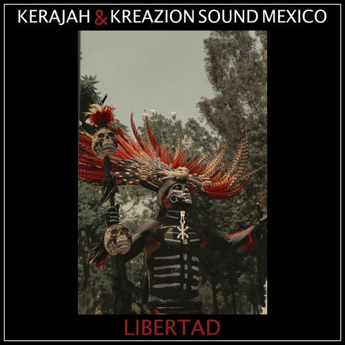 L'Indien cover art