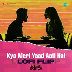 Kya Meri Yaad Aati Hai - LoFi Flip