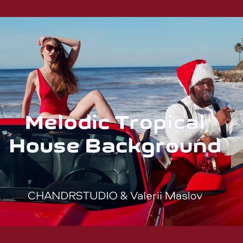 Melodic Tropical House Background