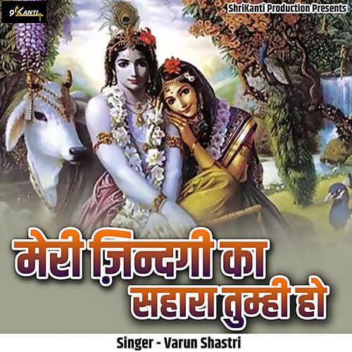 Meri Zindagi Ka Sahara Tumhi Ho