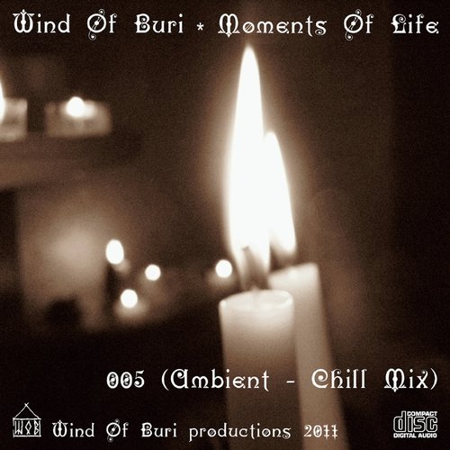 Moments Of Life Vol. 5 (Ambient - Chill Mix)