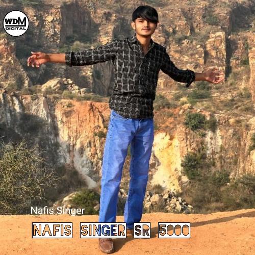 Nafis Singer Sr 5000