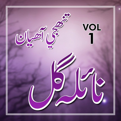 Naila Gul - Tunhan Ji Ahyan, Vol. 1