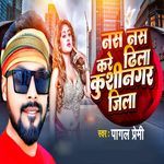 Nas Nas Kare Dhila Kushinagar Jila