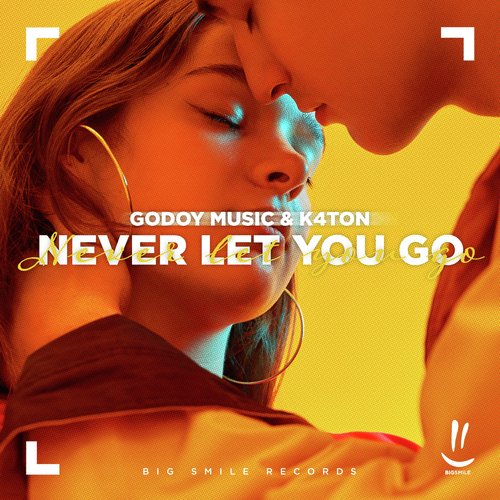 Never Let You Go_poster_image