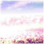 Paintings of a Dream