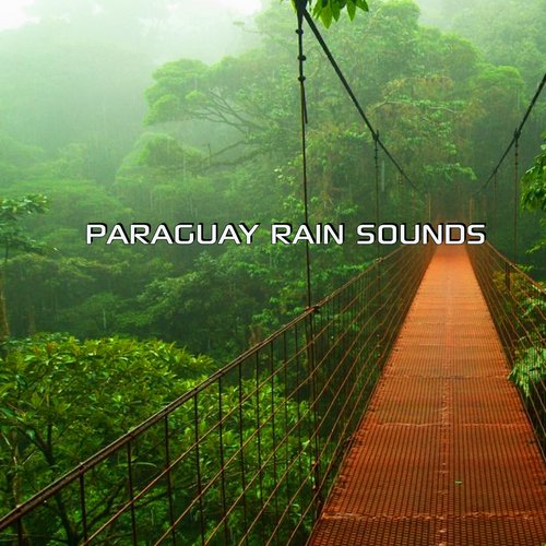 Paraguay Rain Nature Sounds (Storm Station Remix) cover art