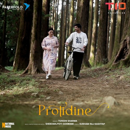 Protidine - Single