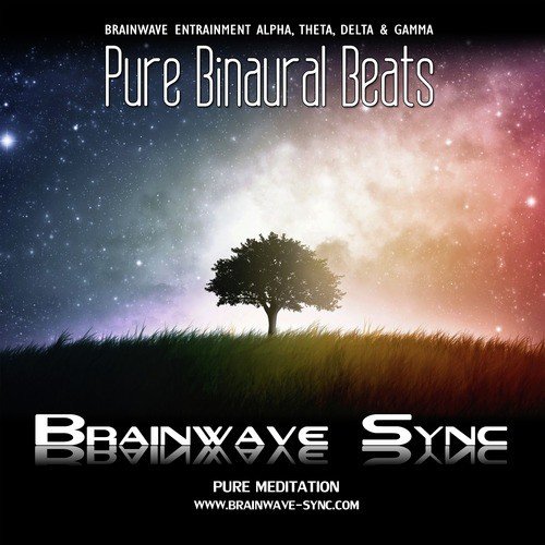 Pure Binaural Beats - Alpha, Theta, Gamma and Delta Brainwave Entrainment - Music for Meditation