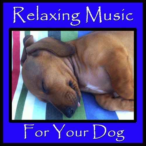 Relaxing Music for Your Dog