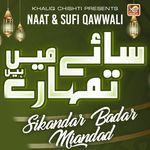 Saaye Mein Tumhare Hain