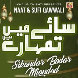 Saaye Mein Tumhare Hain