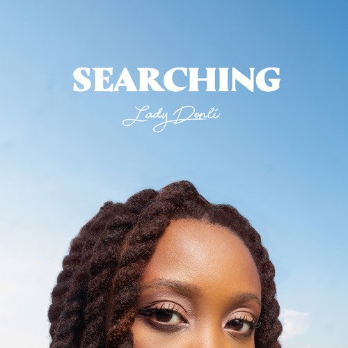 Searching_poster_image