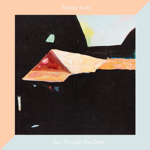 See Through the Dark cover art