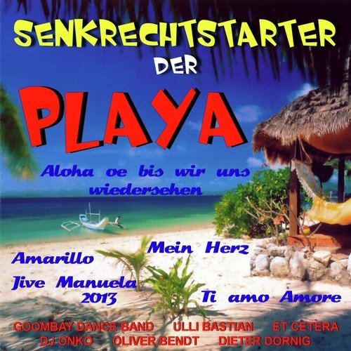 Senkrechtstarter der Playa