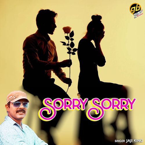Sorry Sorry